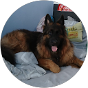 Profilbild von „Bettina H.“